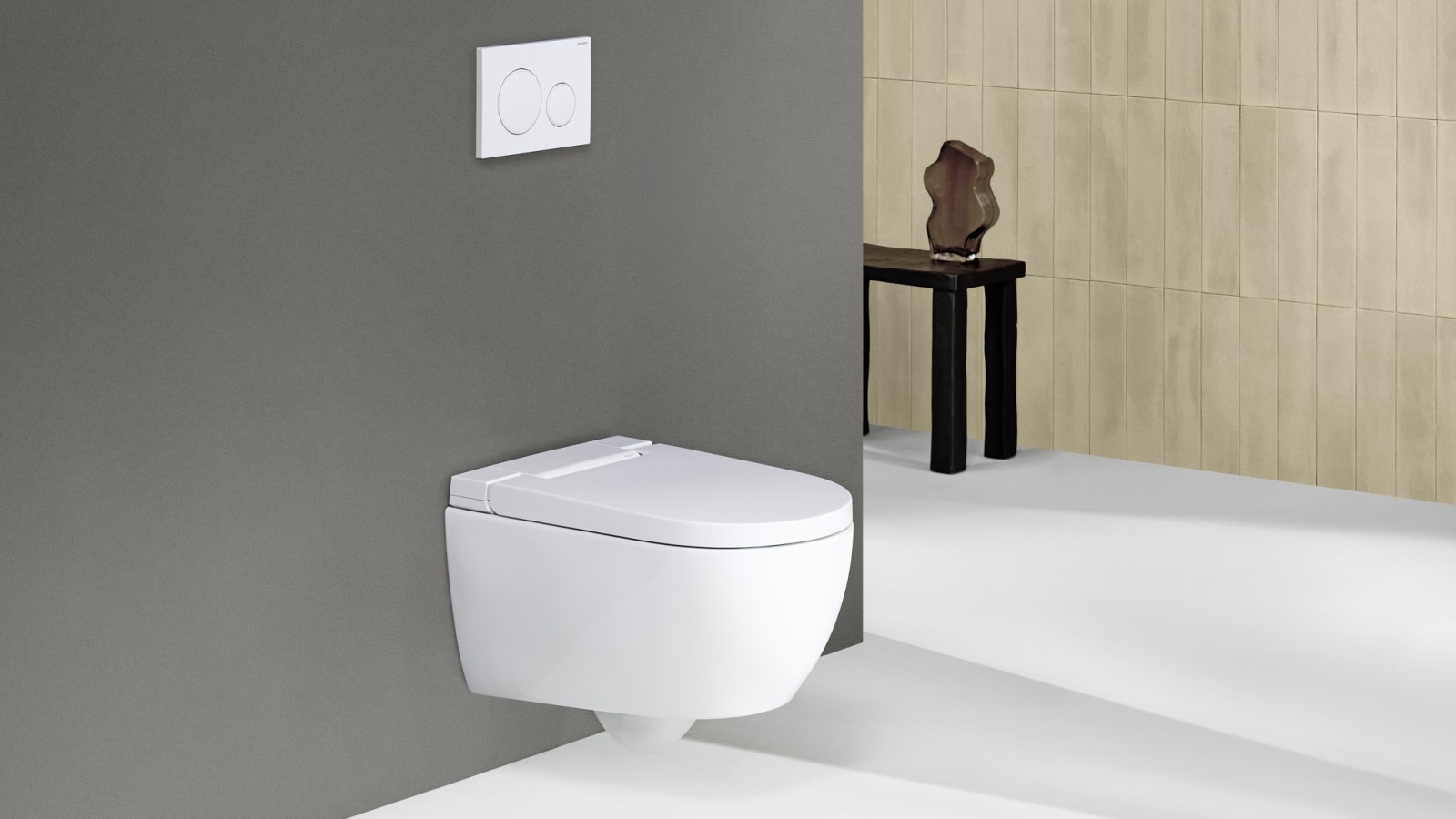 Geberit AquaClean Alba pesu-wc