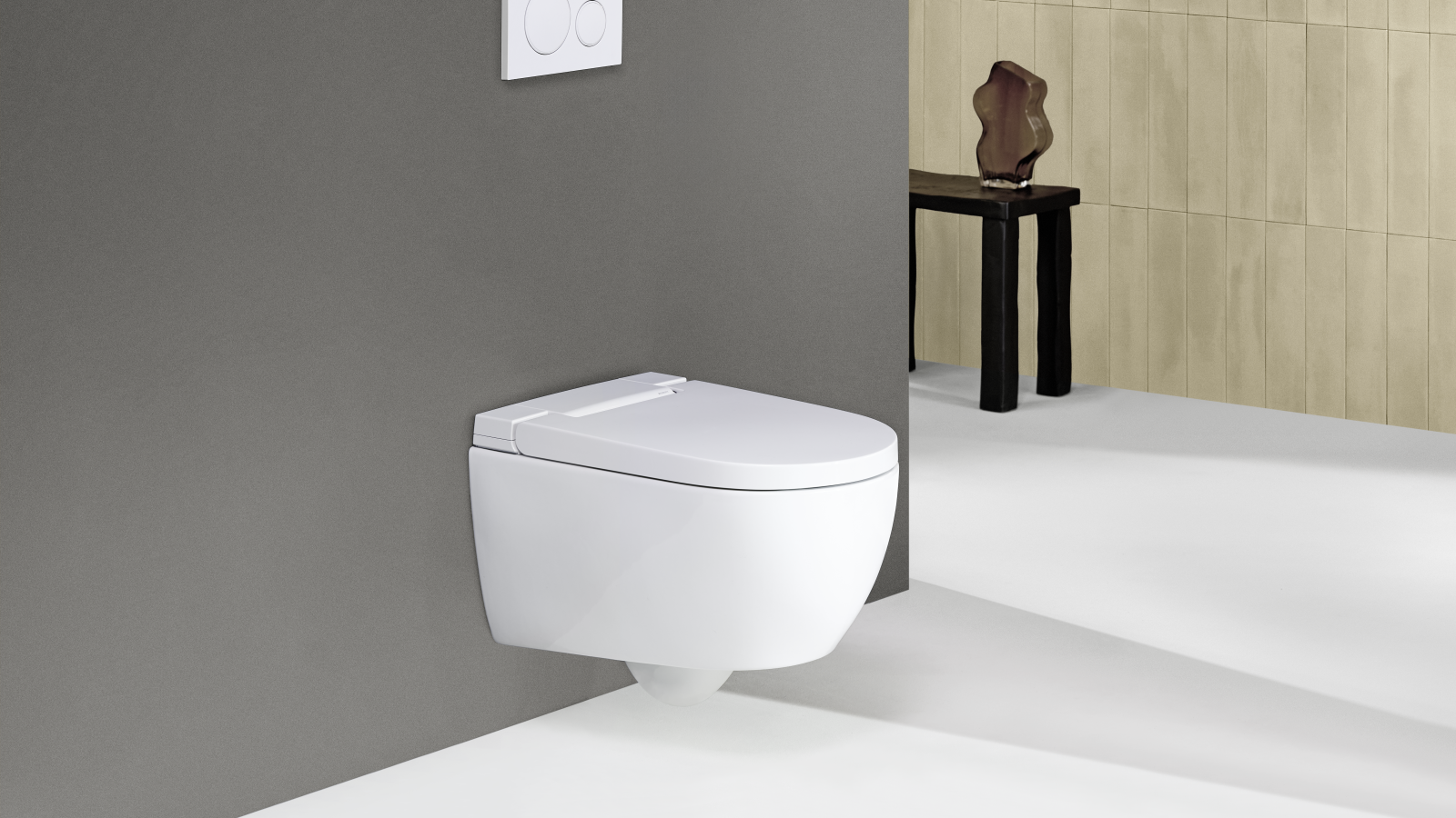 Geberit AquaClean Alba pesu-wc
