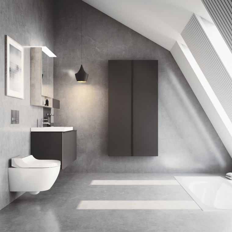 Geberit AquaClean Tuma pesu-wc-istuin harjatusta ruostumattomasta teräksestä valmistetulla peitelevyllä Geberit AquaClean Tuma pesu-wc-istuin harjatusta ruostumattomasta teräksestä valmistetulla peitelevyllä