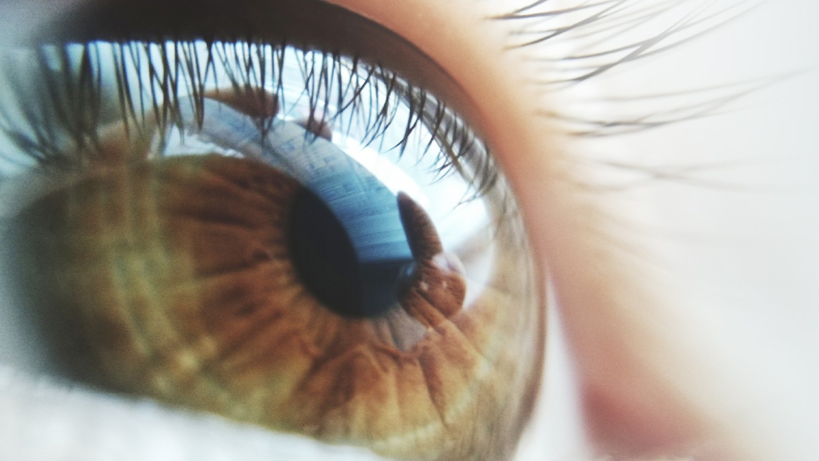 Katse tulevaisuuteen Katse tulevaisuuteen